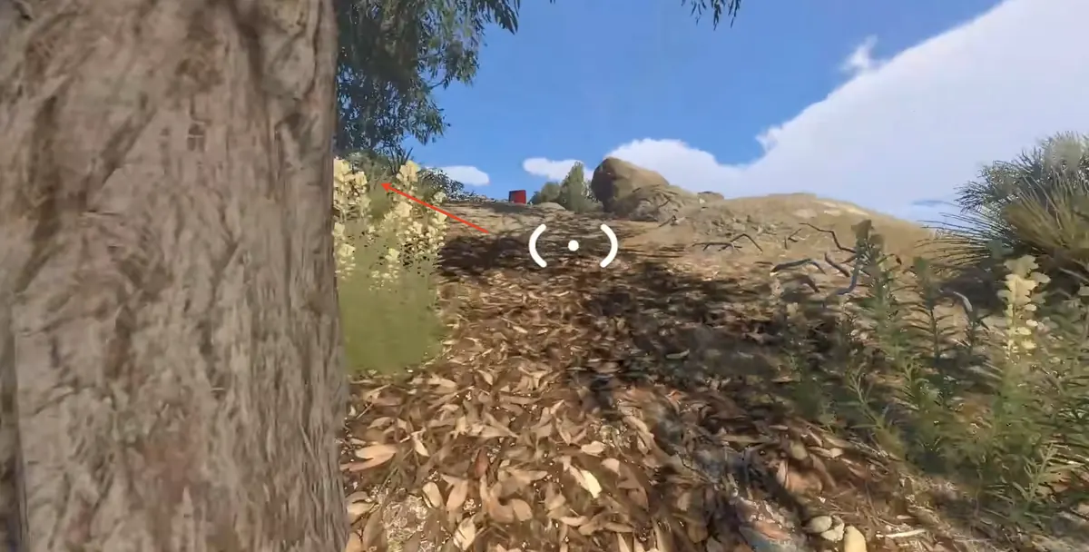 The big tree where the route turns left downhill